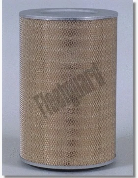 Air Filter (AF25249M)