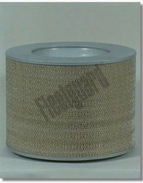 Air Filter (AF25427)