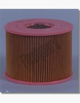 Air Filter (AF4607)