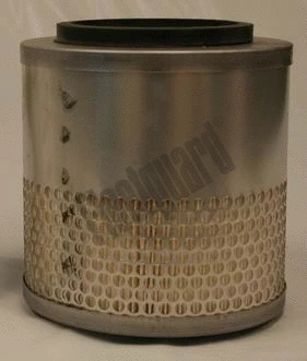 Air Filter (AF25372)