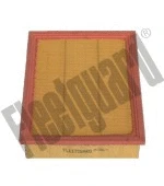 Air Filter (AF25719)