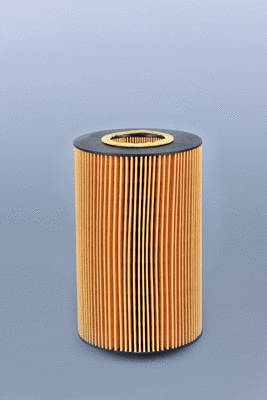 Oil Filter (LF16351)