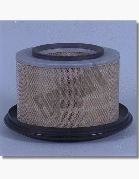 Air Filter (AF4587)