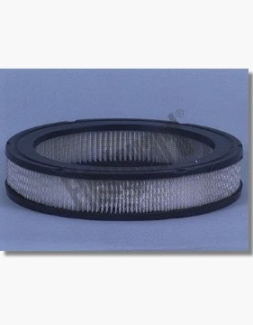 Air Filter (AF1777)