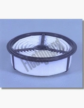 Air Filter (AF4956)