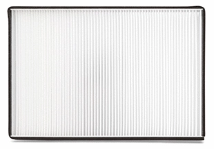 Air Filter (AF55735)