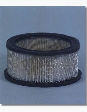 Air Filter (AF290)