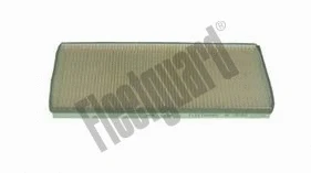 Filter, cabin air (AF25956)