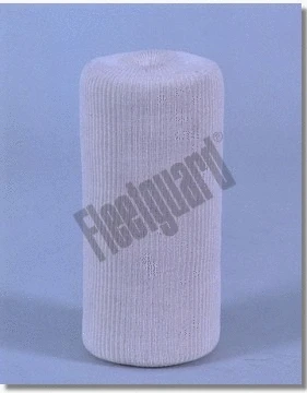 Fuel Filter (FF112)