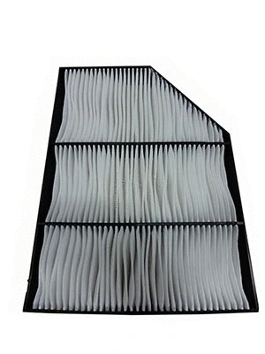 Filter, cabin air (AF55765)