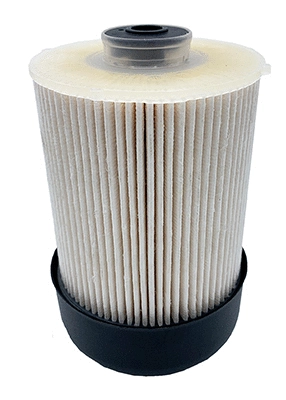 Fuel Filter (FS20216)