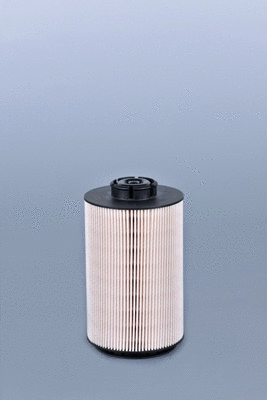 Fuel Filter (FF5769)