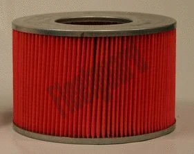 Air Filter (AF25569)