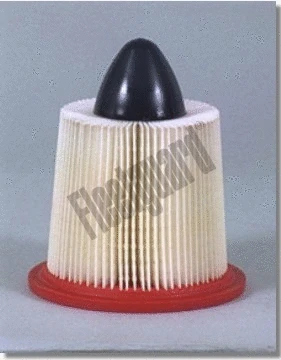 Air Filter (AF25254)