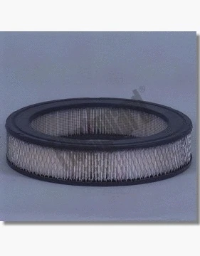 Air Filter (AF1666)