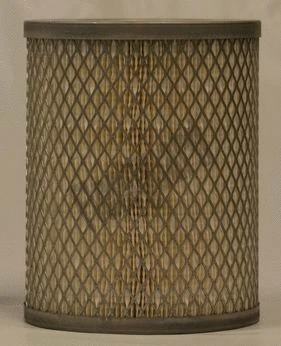 Air Filter (AF25295)