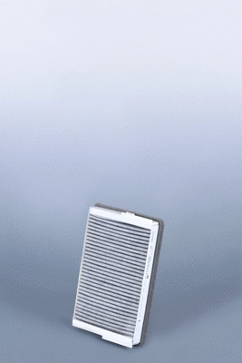 Filter, cabin air (AF26670)