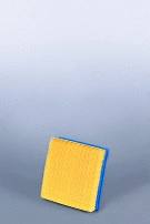 Air Filter (AF25305)