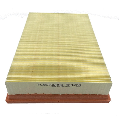 Air Filter (AF4379)