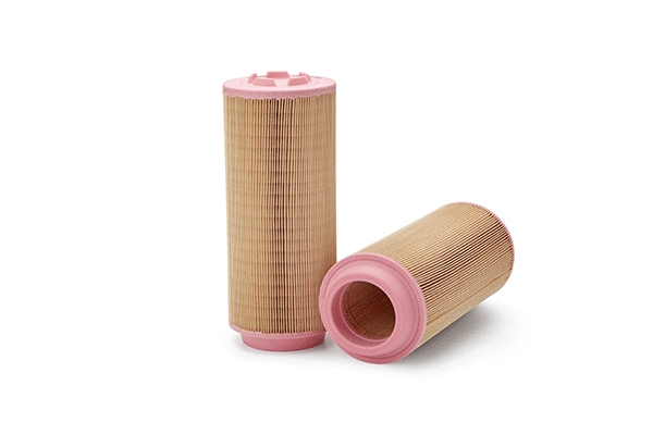 Air Filter (AF26391)