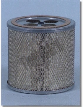 Air Filter (AF4021)
