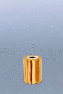 Oil Filter (LF16249)