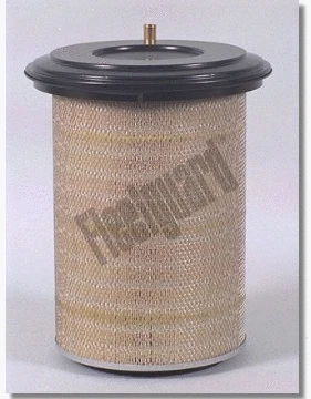 Air Filter (AF4631)