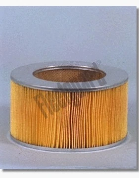 Air Filter (AF4621)