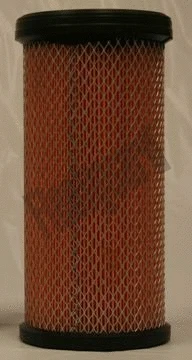 Air Filter (AF25561)