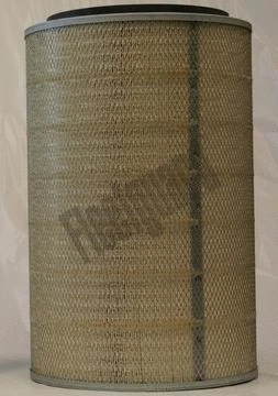 Air Filter (AF25235)
