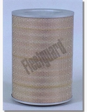 Air Filter (AF4725)