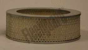 Air Filter (AF25601)