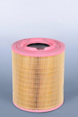 Air Filter (AF27834)