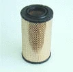 Air Filter (AF25296)