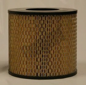Air Filter (AF25399)