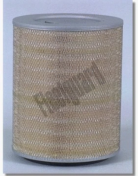 Air Filter (AF25066)