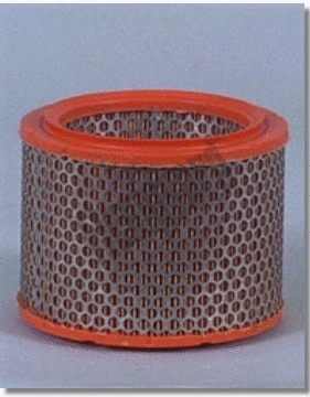 Air Filter (AF1953)