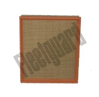 Air Filter (AF25797)