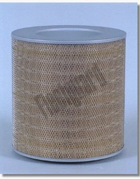 Air Filter (AF4560)
