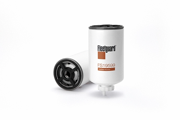 Fuel Filter (FS19599)
