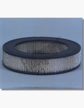 Air Filter (AF484)