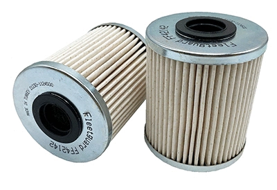 Fuel Filter (FF42142)