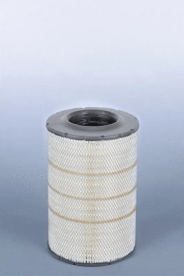 Air Filter (AF26415)