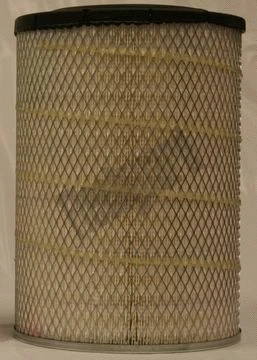 Air Filter (AF25598)