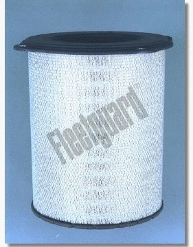 Air Filter (AF25238)