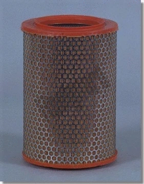 Air Filter (AF4907)