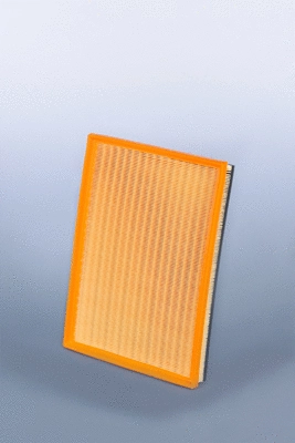 Air Filter (AF27833)