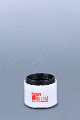 Fuel Filter (FS19734)