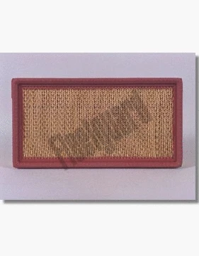 Air Filter (AF25256)