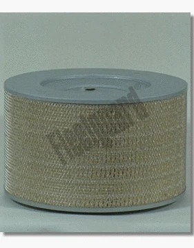Air Filter (AF25428)